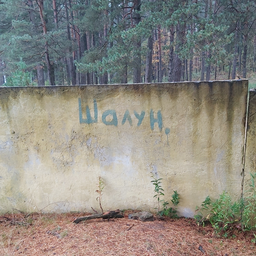 Shalun1