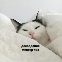 shlyapaboy