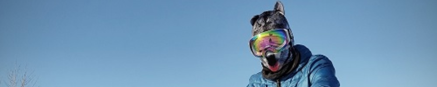 Pikabu banner for @sets