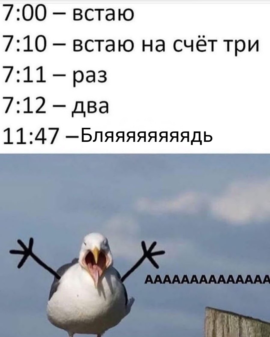 Когда нужно встать на работу в 7 утра... | Пикабу