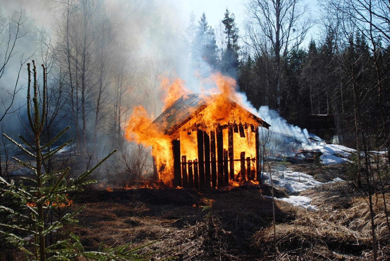 This is fine | Пикабу