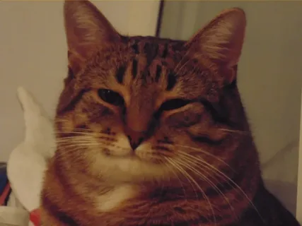 1611302881114717161.png