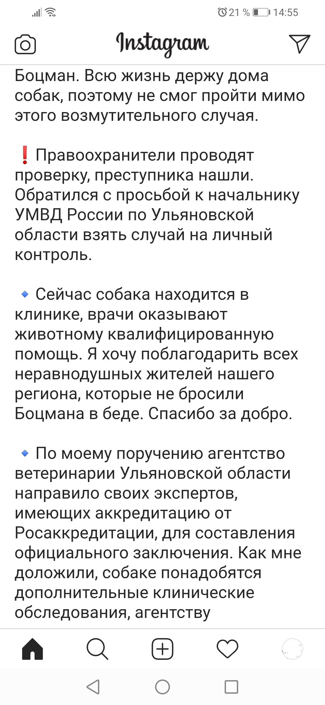 Мужик подумал, что собака поцарапала машину и учинил самосуд | Пикабу