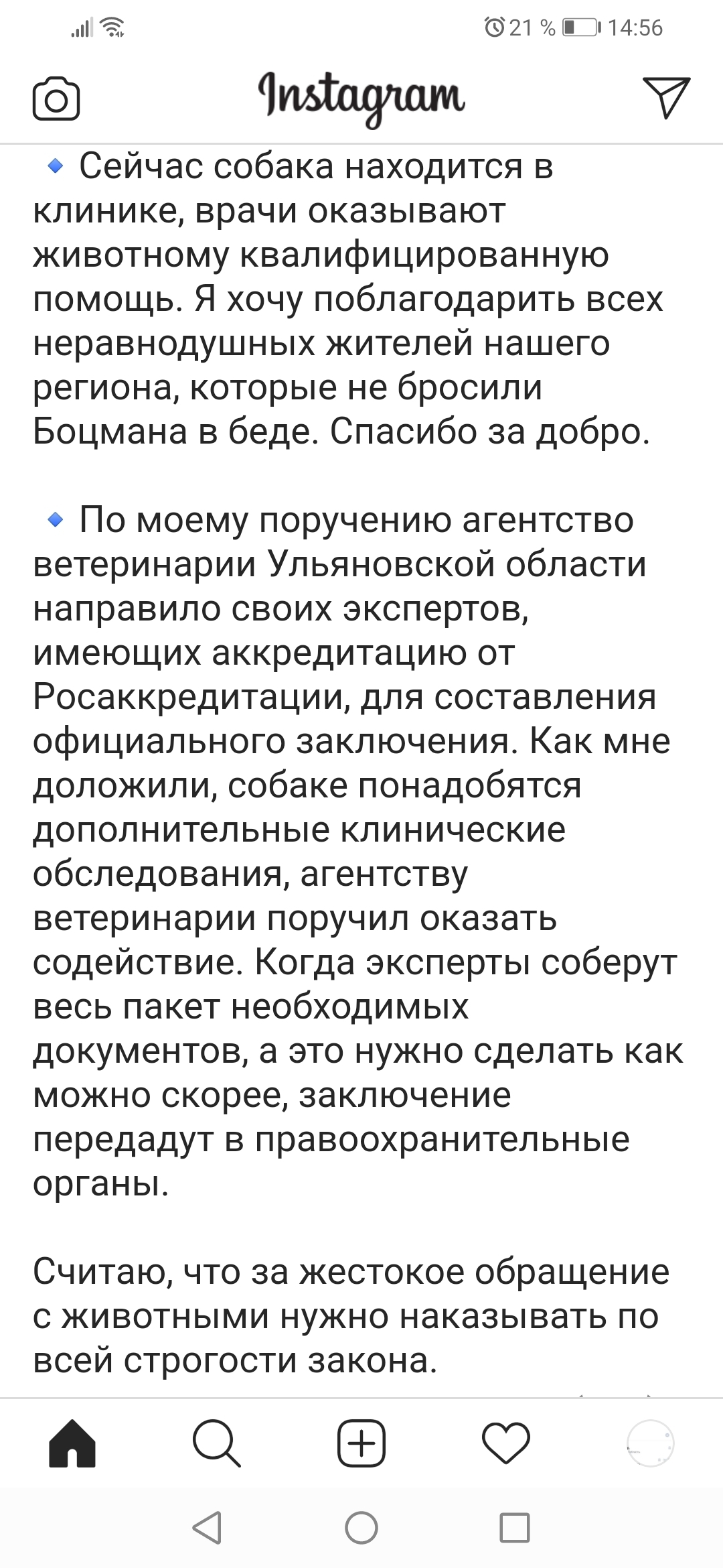 Мужик подумал, что собака поцарапала машину и учинил самосуд | Пикабу