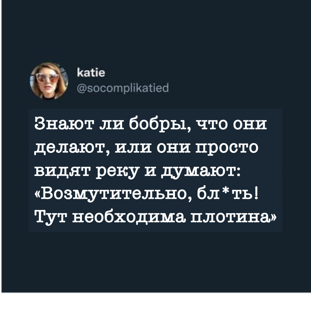 Если ты бобр - в любой ситуации строй плотину, не важно из чего | Пикабу