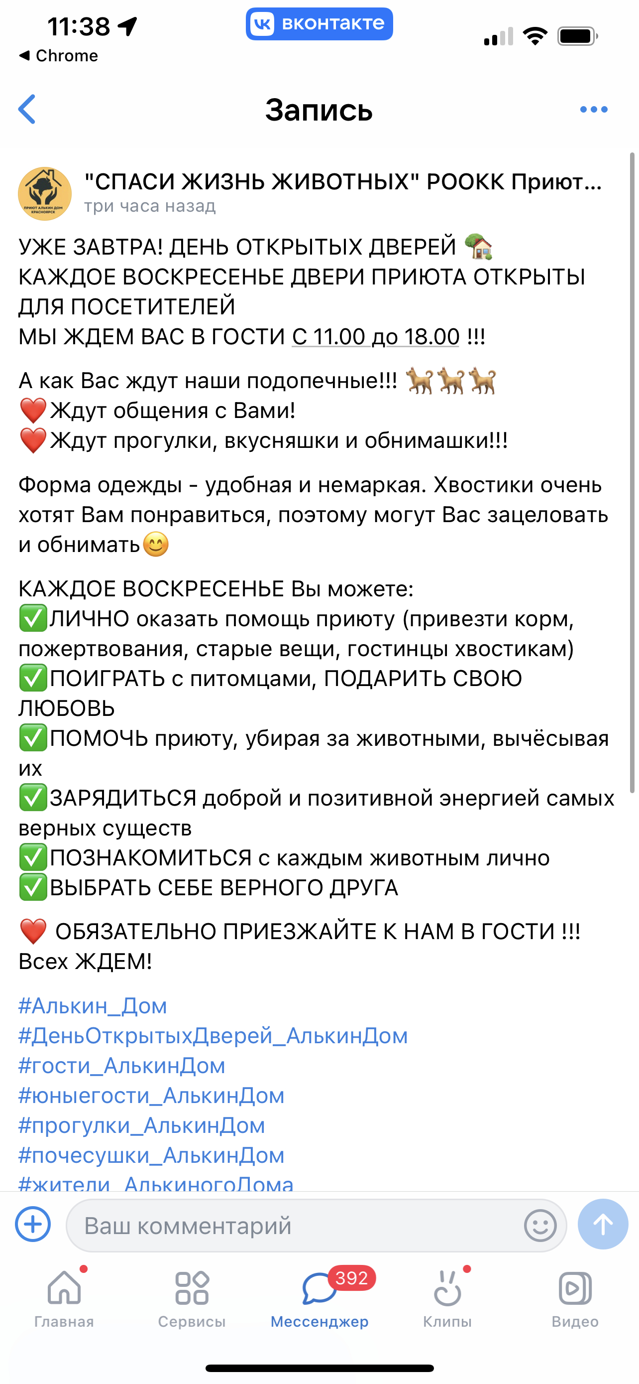 Ответ на пост «Собачьему приюту нужна помощь» | Пикабу