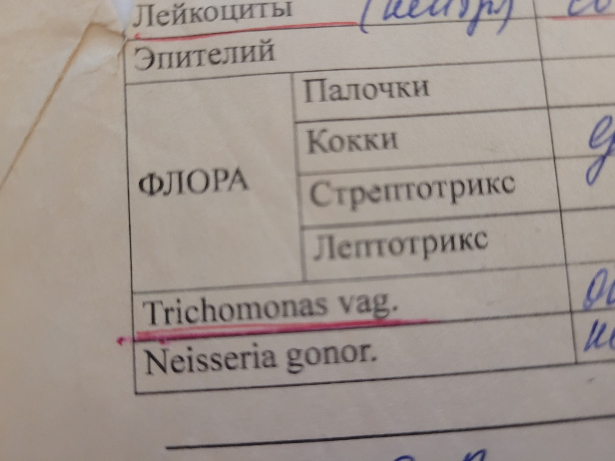 Ответ на пост «Сдай спермограмму в Медси и узнай, что у тебя бесплодие» |  Пикабу