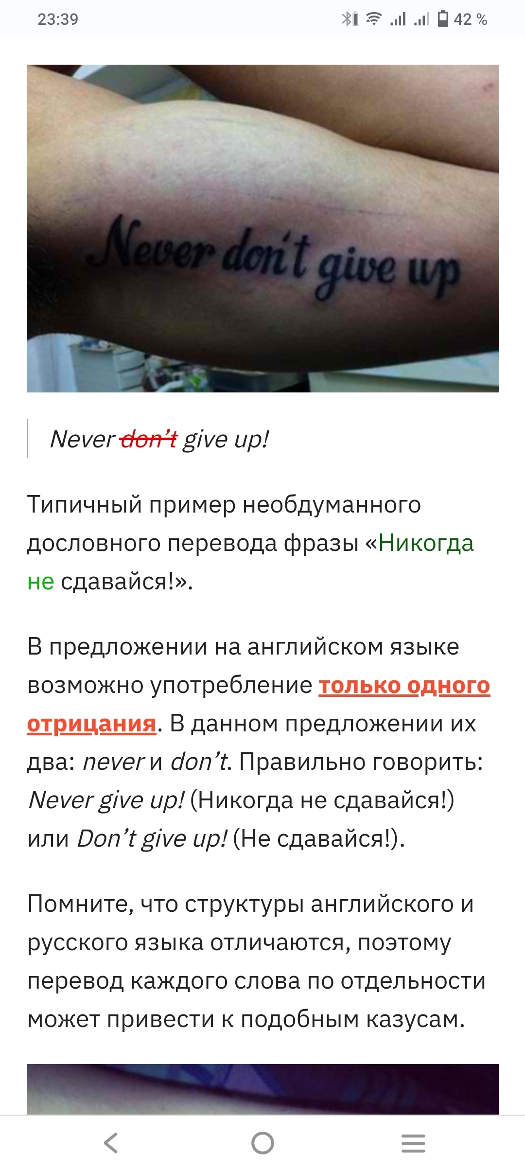 Никогда не забывайте сдаться (и прогулять лишний урок английского) | Пикабу