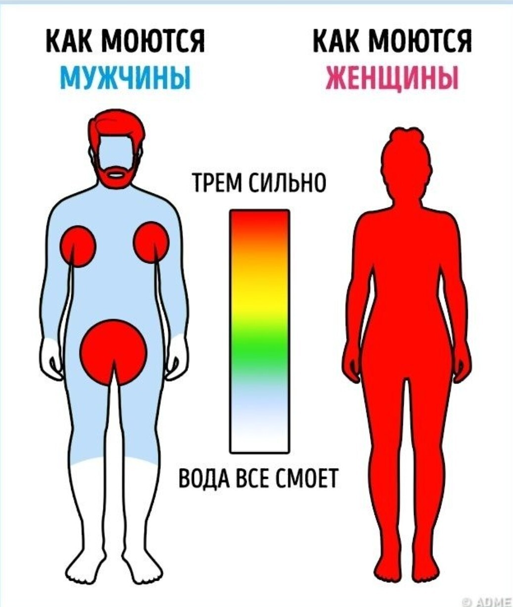 Что видят девушки в ванной | Пикабу