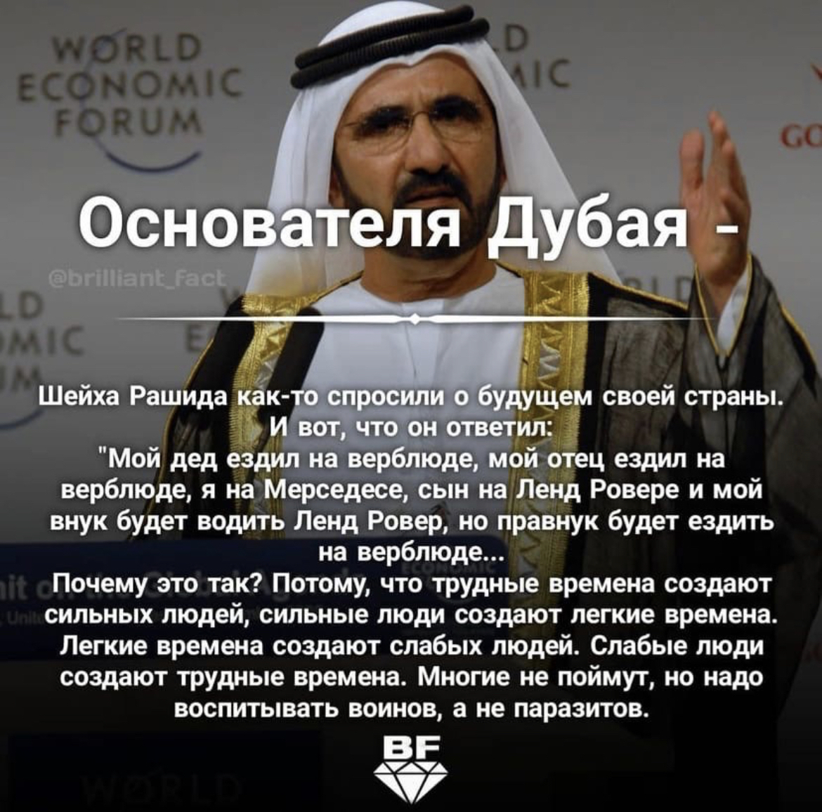Тяжелые времена рождают сильных котят