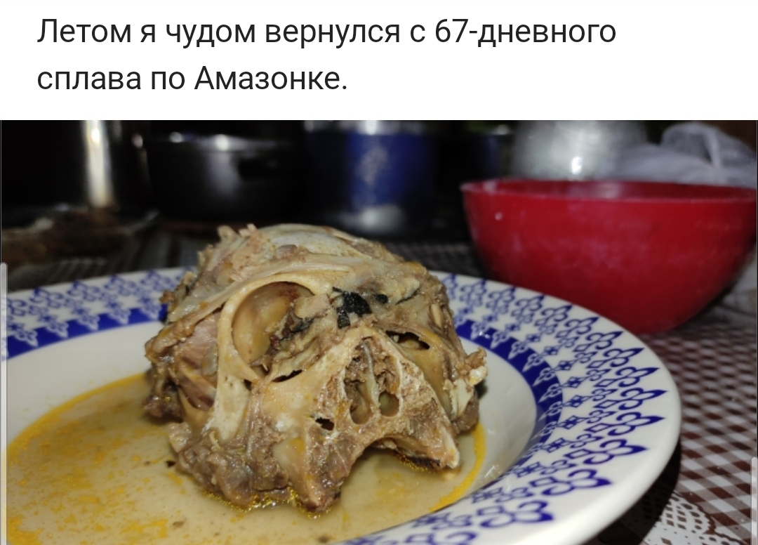 Амазонка: 10 проверенных шкурой фактов | Пикабу