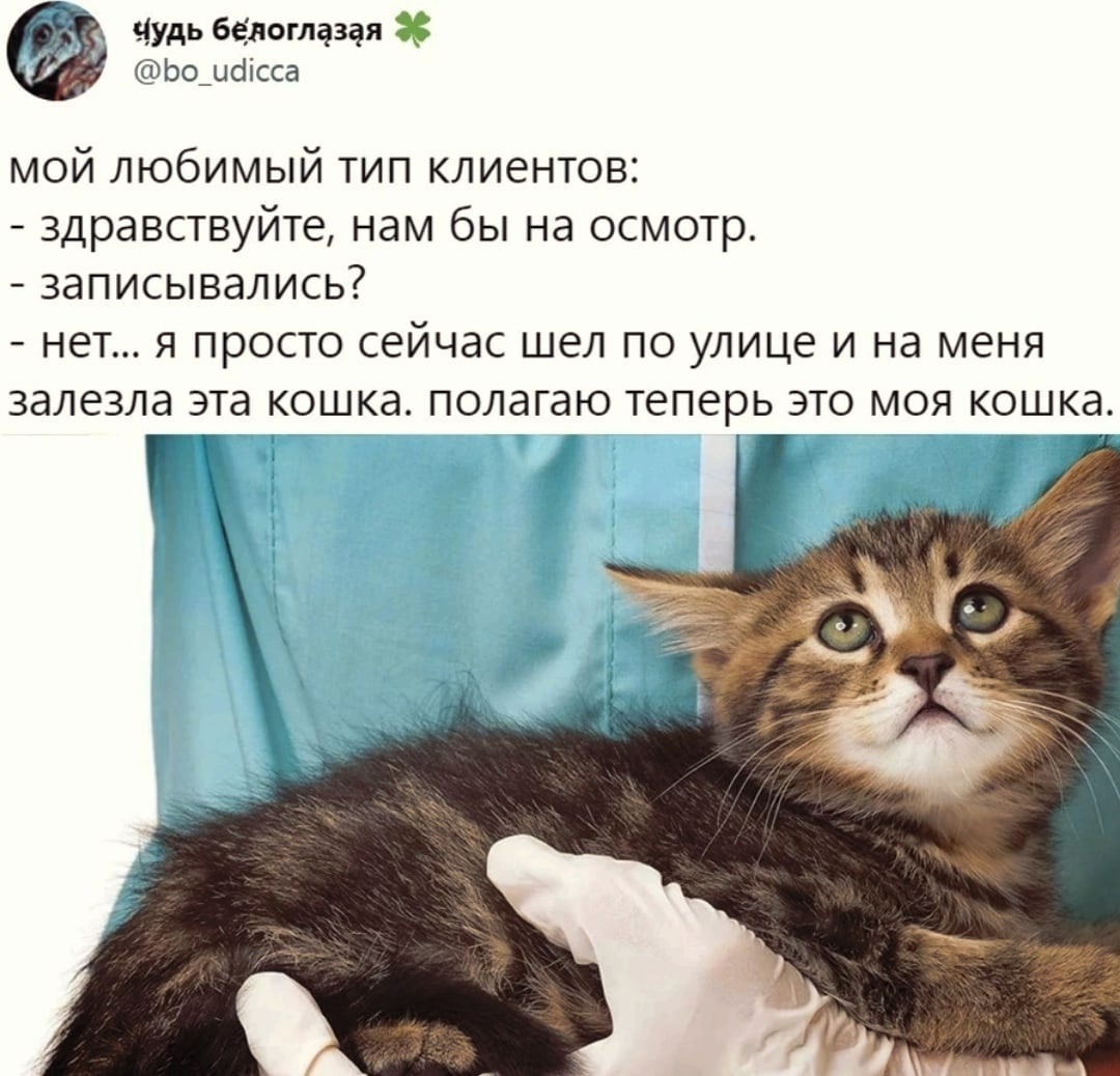 Ваш | Пикабу