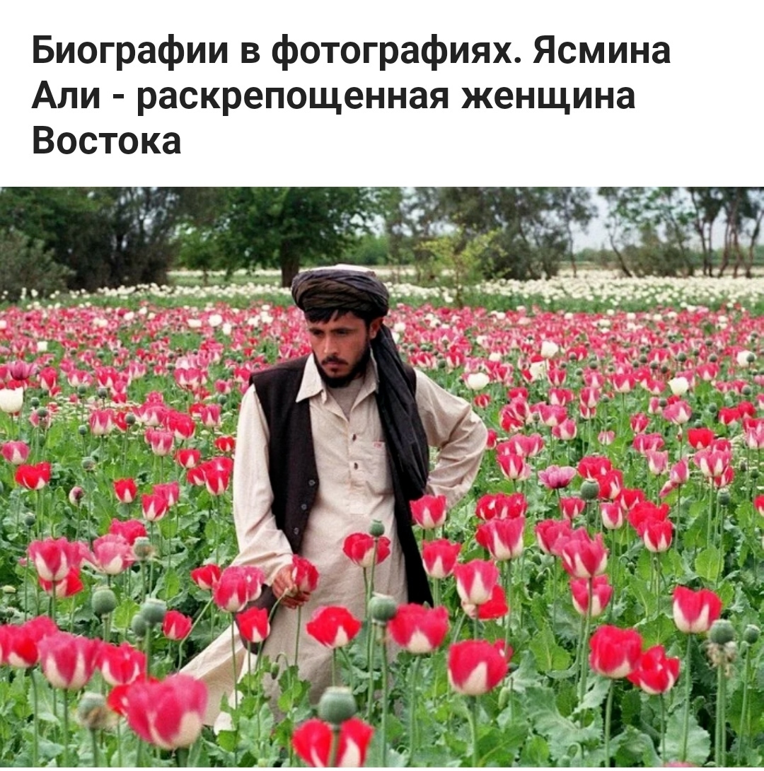 Биографии в фотографиях. Ясмина Али - раскрепощенная женщина Востока |  Пикабу