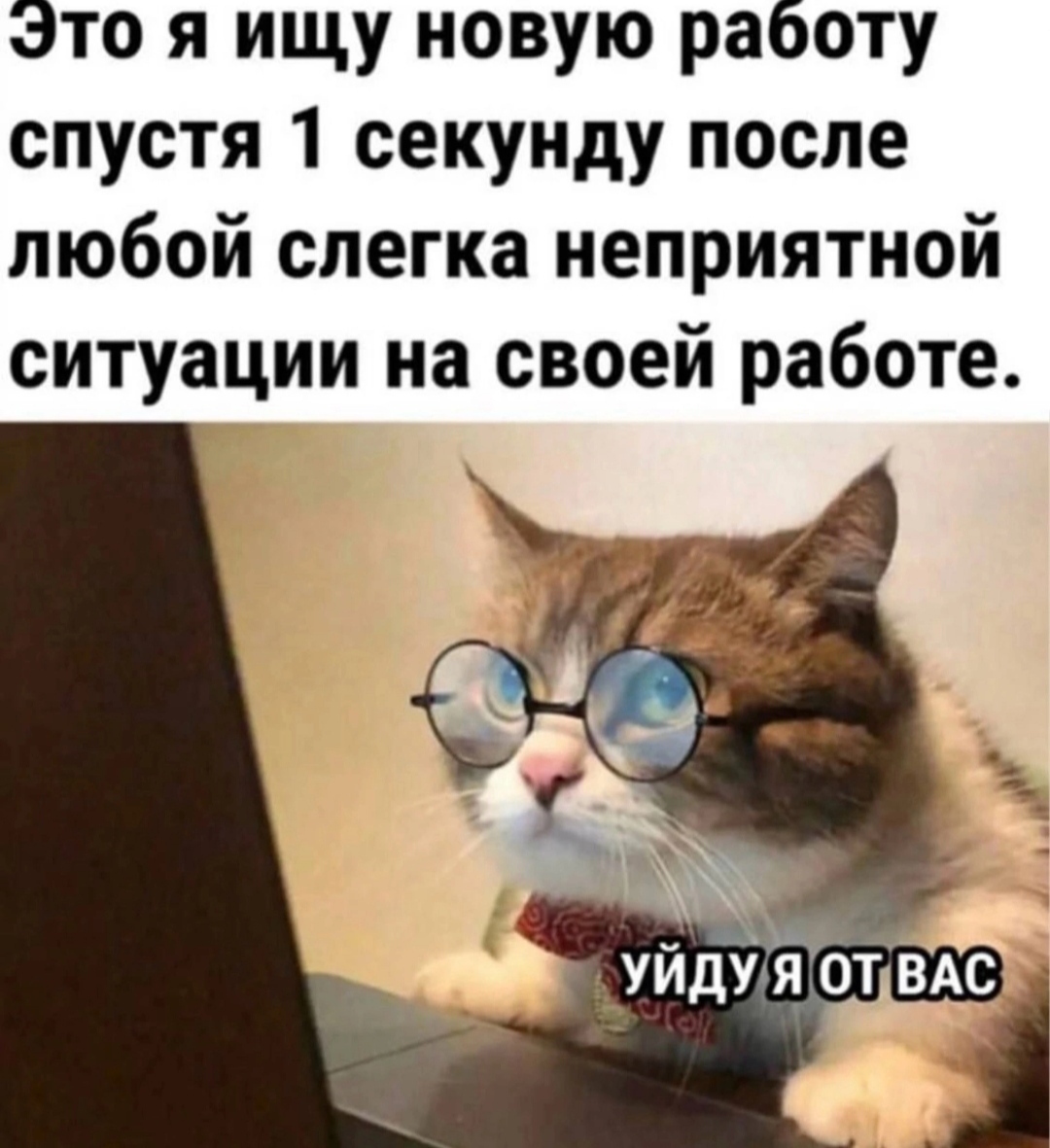 Менеджеры, помните об этом, когда ставите очередной важный созвончик своим  сотрудникам | Пикабу