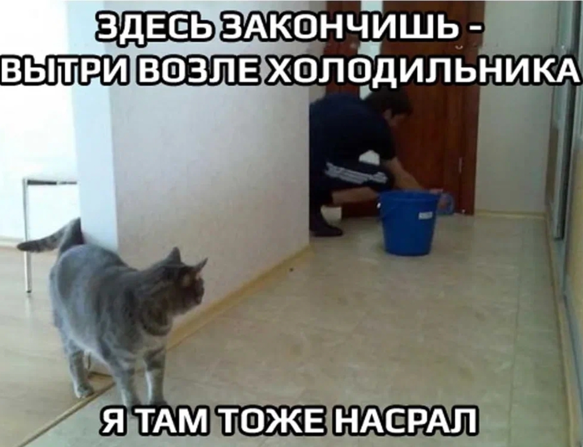 У меня теперь это | Пикабу