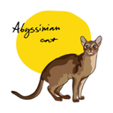 Аватар сообщества "Клуб породы Абиссинская кошка"