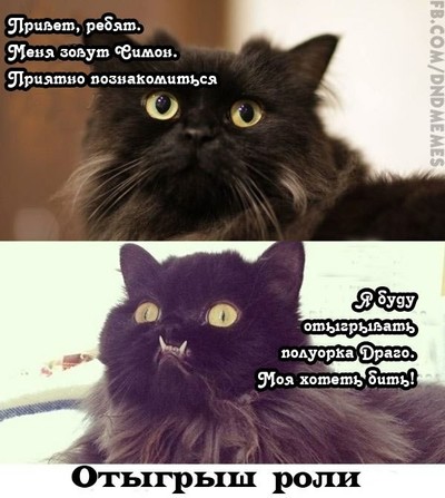 что значит лок тар огар. Смотреть фото что значит лок тар огар. Смотреть картинку что значит лок тар огар. Картинка про что значит лок тар огар. Фото что значит лок тар огар