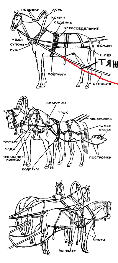 во что запрягают лошадь дуга как называется. Смотреть фото во что запрягают лошадь дуга как называется. Смотреть картинку во что запрягают лошадь дуга как называется. Картинка про во что запрягают лошадь дуга как называется. Фото во что запрягают лошадь дуга как называется