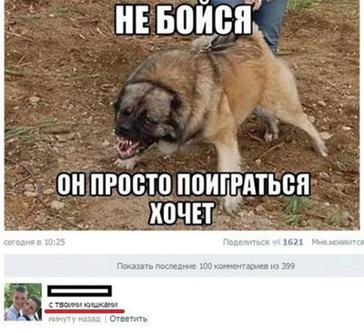 Иллюстрация к комментарию
