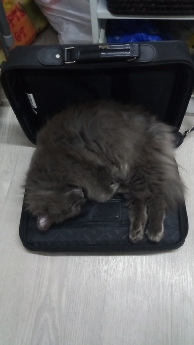 Иллюстрация к комментарию