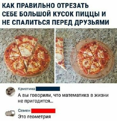 Можно ли собакам есть из одной миски
