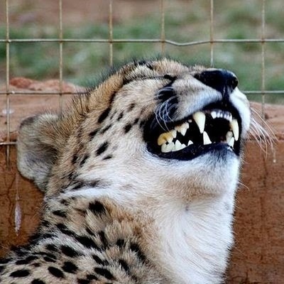 картинка потому что нормально нужно отвечать когда спрашивают что подарить. Смотреть фото картинка потому что нормально нужно отвечать когда спрашивают что подарить. Смотреть картинку картинка потому что нормально нужно отвечать когда спрашивают что подарить. Картинка про картинка потому что нормально нужно отвечать когда спрашивают что подарить. Фото картинка потому что нормально нужно отвечать когда спрашивают что подарить