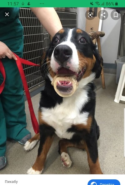 Иллюстрация к комментарию