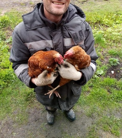 с какой скоростью бегает курица. Смотреть фото с какой скоростью бегает курица. Смотреть картинку с какой скоростью бегает курица. Картинка про с какой скоростью бегает курица. Фото с какой скоростью бегает курица с какой скоростью бегает курица. Смотреть фото с какой скоростью бегает курица. Смотреть картинку с какой скоростью бегает курица. Картинка про с какой скоростью бегает курица. Фото с какой скоростью бегает курица