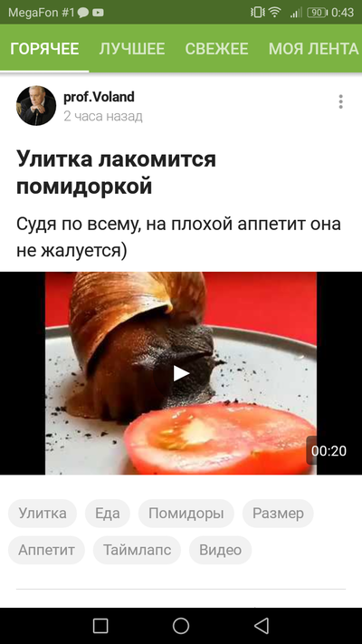 как улитка ест помидор. Смотреть фото как улитка ест помидор. Смотреть картинку как улитка ест помидор. Картинка про как улитка ест помидор. Фото как улитка ест помидор