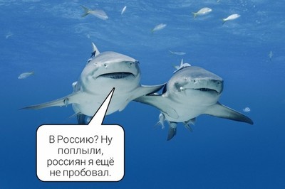Камера в желудке акулы