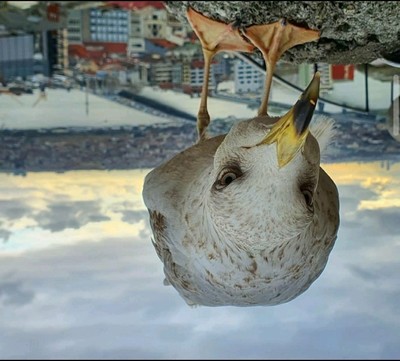 Так блэт не понял. Смотреть фото Так блэт не понял. Смотреть картинку Так блэт не понял. Картинка про Так блэт не понял. Фото Так блэт не понял