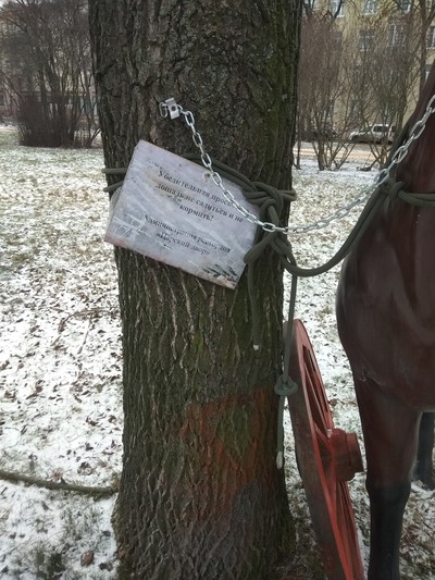 Укус лошади прикол что это. Смотреть фото Укус лошади прикол что это. Смотреть картинку Укус лошади прикол что это. Картинка про Укус лошади прикол что это. Фото Укус лошади прикол что это