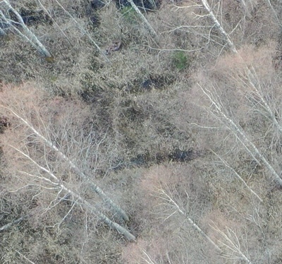 бахова страсть что значит. Смотреть фото бахова страсть что значит. Смотреть картинку бахова страсть что значит. Картинка про бахова страсть что значит. Фото бахова страсть что значит бахова страсть что значит. Смотреть фото бахова страсть что значит. Смотреть картинку бахова страсть что значит. Картинка про бахова страсть что значит. Фото бахова страсть что значит