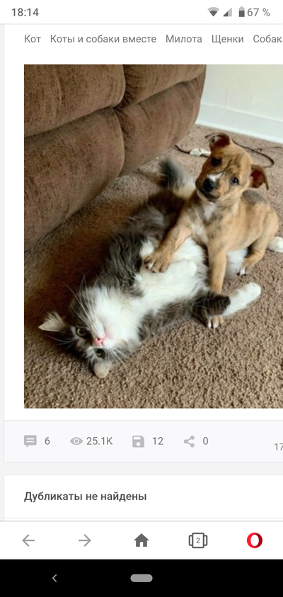 Иллюстрация к комментарию