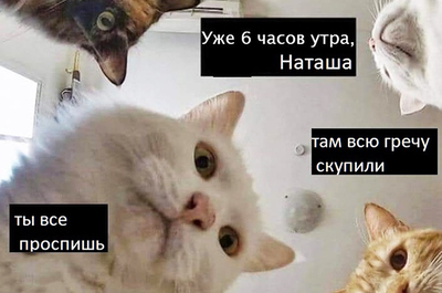 Хочется гречки чего не хватает. Смотреть фото Хочется гречки чего не хватает. Смотреть картинку Хочется гречки чего не хватает. Картинка про Хочется гречки чего не хватает. Фото Хочется гречки чего не хватает