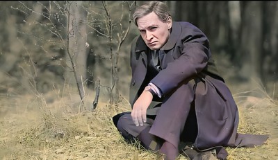 158565988612847168 да что вы знаете об удаленке штирлиц фото