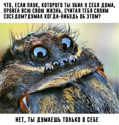 Komentář ilustrace