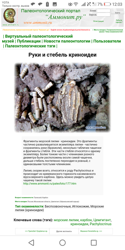 ����������� � �����������