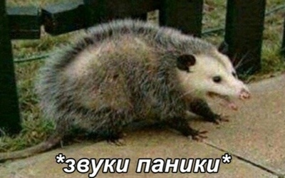 Можно ли есть паутов
