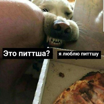 Василий плодов стола вкусили