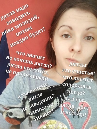 Иллюстрация к комментарию