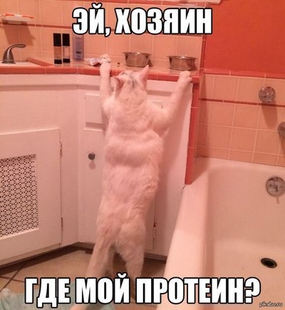 никаких бутербродов никаких бананов. 1594406067180234798. никаких бутербродов никаких бананов фото. никаких бутербродов никаких бананов-1594406067180234798. картинка никаких бутербродов никаких бананов. картинка 1594406067180234798. Никаких бутербродов никаких бананов