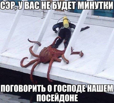 самый большой кальмар в мире истории. Смотреть фото самый большой кальмар в мире истории. Смотреть картинку самый большой кальмар в мире истории. Картинка про самый большой кальмар в мире истории. Фото самый большой кальмар в мире истории