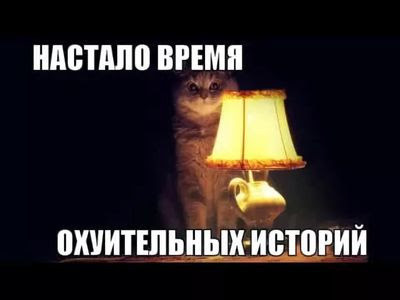 что значит взаимно вежливы. Смотреть фото что значит взаимно вежливы. Смотреть картинку что значит взаимно вежливы. Картинка про что значит взаимно вежливы. Фото что значит взаимно вежливы