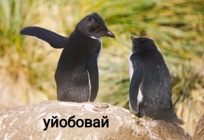 jane я сошел с ума