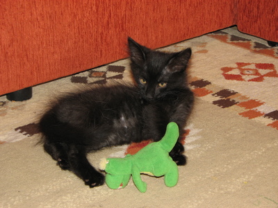 Иллюстрация к комментарию