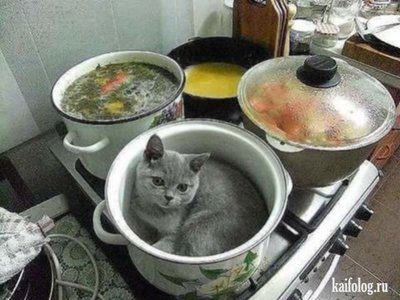 Вы что хотите кушац мем. Смотреть фото Вы что хотите кушац мем. Смотреть картинку Вы что хотите кушац мем. Картинка про Вы что хотите кушац мем. Фото Вы что хотите кушац мем
