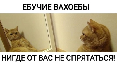 Что можно что то вечно