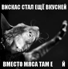 Вискас стал еще вкусней вместо мяса там еврей изображение кота с текстом. Смотреть фото Вискас стал еще вкусней вместо мяса там еврей изображение кота с текстом. Смотреть картинку Вискас стал еще вкусней вместо мяса там еврей изображение кота с текстом. Картинка про Вискас стал еще вкусней вместо мяса там еврей изображение кота с текстом. Фото Вискас стал еще вкусней вместо мяса там еврей изображение кота с текстом