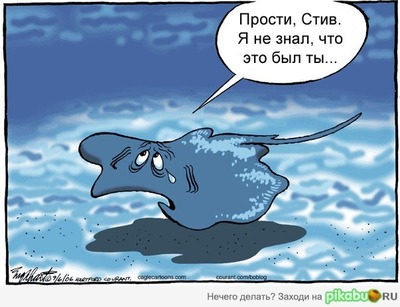 австралийский ведущий про животных стив ирвин. Смотреть фото австралийский ведущий про животных стив ирвин. Смотреть картинку австралийский ведущий про животных стив ирвин. Картинка про австралийский ведущий про животных стив ирвин. Фото австралийский ведущий про животных стив ирвин